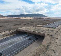 Un puente para la vida silvestre