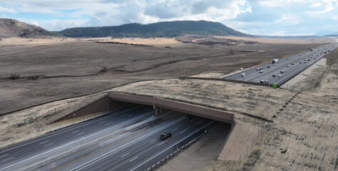 Un puente para la vida silvestre